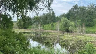 Земельный участок в Оренбургской обл., 103001 кв.м. Кадастровый номер земельного участка: 56:33:0906005:24 Адрес (местонахождение): Оренбургская обл., Тюльганский район, Репьевский с/с, участок расположен в западной части кадастрового квартала 56:33:0906005 Общая площадь: 103 001, Уточненная…
