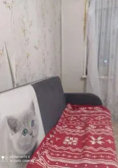 Квартира, площадью 47,5 кв.м., кадастровый номер: 59:10:0407020:189, расположенная по адресу: Пермский край, м.о. Соликамский, г. Соликамск, ул. 20-летия Победы, д. 165, кв. 30. Имущество, реализуется как единый объект недвижимости (независимо от того, какой режим установленной собственности на…
