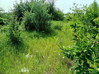 Земельный участок 500 кв.м Самарская область 1/2 на земельном участке, площадь 500, назначение: Земли населенных пунктов, адрес: Россия, Самарская область, Куйбышевский р-н, г. Самара, Подстепновка, линия 4, дом 142, кадастровый номер: 63:01:0417004:907.