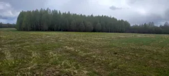 Земельный участок в Вологодской области, площадь 56000 +/- 83 кв.м. Категория земель: земли сельскохозяйственного назначения, назначение: для сельскохозяйственного производства. Адрес: Россия, Вологодская область, Устюженский район. Кадастровый номер: 35:19:0310001:289.