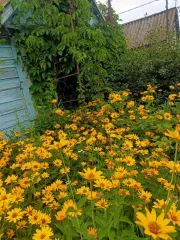 Земельный участок 408 кв.м, Самарская область: Земельный участок, площадь 408 +/- 7.07 кв.м., адрес (местонахождение): Россия, Самарская область, г.Тольятти, Центральный район, северо-запад Химзавода, 2,5 км, СНТ «Любитель», проезд № 4, участок № 248., кадастровый (условный) номер…