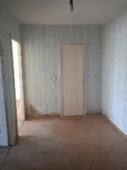 Нежилое помещение 79:01:0100037:219