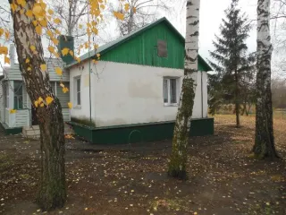 Здание с земельным участком Здание с земельным участком 
Год ввода в эксплуатацию: 2009 
Количество подземных этажей : 0 
Вид ограничений и обременений: п.1 раздел II Информационного сообщения 
Общая площадь: 52.1 
Материалы наружных стен здания : каркасно- обшивные 
Кадастровая стоимость …