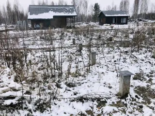 Земельный участок общей площадью 1000 кв.м, кадастровый (условный) номер: 54:19:112201:1047, расположенный по адресу: Новосибирский район, МО Станционный сельсовет.