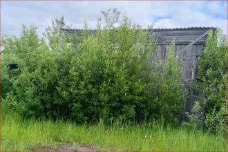 Нежилое здание 43 кв.м и земельный участок 250 кв.м в Костромской области, Мантуровский район, город Мантурово, улица Победы. Здание кафе-бара "Теремок". Кадастровый номер здания: 44:28:030207:66. Кадастровый номер земельного участка: 44:28:030231:86. Категория земель: земли населенных пунктов…