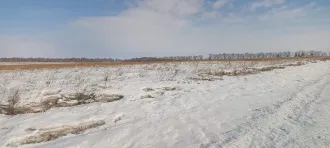 Земельный участок кадастровый номер 24:25:0401004:62 общей площадью 7200 м2 категории земель сельскохозяйственного назначения с разрешенным использованием для ведения личного подсобного хозяйства по адресу местоположение установлено относительно ориентира расположенного в границах участка ориентир…