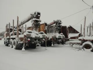 Камаз 43118-15, 2006 года выпуска, цвет – светло-дымчатый, VIN X5258701P60000147, государственный номер Н619ОЕ29, номер двигателя 62362245, объем двигателя – 9999 куб. см, мощность двигателя – 224 л.с.