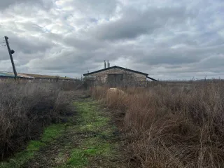 Нежилые помещения (свинарники) 1058 кв.м, 1022 кв.м, земельный участок 10000 кв.м, Воронежская область, Каширский район, с. Запрудское, ул. Ленина. Нежилое помещение (свинарник) площадь 1 058,20 кв.м., кадастровый номер: 36:13:0800002:214, по адресу: Воронежская область, Каширский район, с…