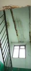 1/4 + 1/4 доли квартиры (52 кв.м) и 1/4 доли помещения, Омская область, назначение: жилое, кадастровый (условный) номер: 55:26:240101:1263, адрес: Омская область, Таврический р-н, с. Прииртышье, ул. Ленина, д. 21, кв. 13