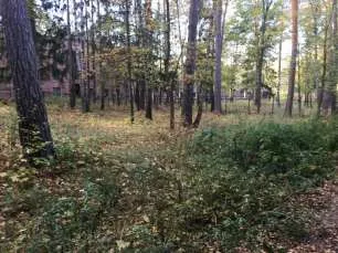 Земельный участок, пл.: 2 335 кв.м., К.Н.: 50:49:0010301:2223. Объект незавершенного строительства (жилой дом), проектируемое назначение: жилое, степень готовности объекта незавершенного строительства 95%, пл.: 481,4 кв.м., К.Н.: 50:49:0010301:2326. Земельный участок, пл.: 2 258 кв.м., К.Н…