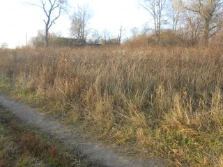 Земельный участок площадью 1500 кв.м, ½ доли в праве общей долевой собственности. Кадастровый номер 33:06:071301:181. Местоположение: Владимирская область, Камешковский район, сельское поселение Сергеихинское, село Фомиха. Категория земель: земли населенных пунктов. Вид разрешенного использования…