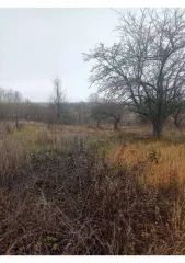 Земельный участок площадью 600 кв.м, расположенный по адресу: Курская область, Курский район, Полевской сельсовет, ул. Набережная, д. 143. Кадастровый номер: 46:11:150206:648. В Едином государственном реестре недвижимости отсутствуют сведения о местоположении границ земельного участка. Регистрация…