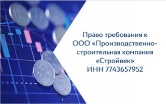 Права требования к ООО «ПСК «Стройвек» на сумму 7 461 705,33 руб. Право требования Борисова Сергея Владимировича (ИНН 561104397178) к Обществу с ограниченной ответственностью «Производственно-строительная компания «Стройвек» (ИНН 7743657952, ОГРН 1077759577257) на сумму 7 461 705,33 руб., в том…