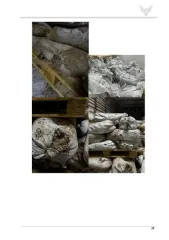 Яйца рачка артемии в мешках. Годные остатки водных биологических ресурсов — яйца (циста) рачка артемии, упакованные в полипропиленовые мешки. Имущество продается в том виде, комплектности и состоянии, в каком оно есть. Имущество находится на хранении длительный период времени. За видимые или…