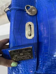 Потолочный светильник Baccarat Mille Nuits Ваза Baccarat Gingko Сумка Yves Saint Lauren, синяя с бежевым Сумка Ralph Lauren, серебристая  бежевая   из кожи Проектор SIM2 CRYSTAL CUBE Ваза Daum France Tulipe красно желтая в виде цветка Ведро 'Лебедь' для льда  для шампанского  Faberge Лампа Armani…
