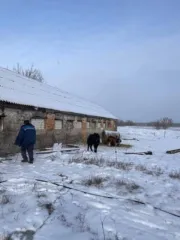 Доли зданий 483,2 кв.м и 565 кв.м, 1/3 доля участка 13878 кв.м Воронежская обл 1/3 доли на комплекс имущества, включающий в себя нежилое здание с кадастровым номером 36:27:0500018:30, общей площадью 483,2 кв.м, нежилое здание с кадастровым номером 36:27:0500018:33, общей площадью 565 кв.м…