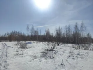 Земельный участок с кадастровым номером 45:21:030207:2, площадь 21826 кв.м, адрес: Курганская обл, р-н Шатровский, с Шатрово, ул Федосеева, 77; основной вид разрешенного использования: 6.0.