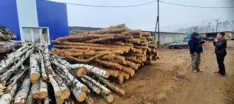 Дровяная древесина породы сосна в объеме 30,0 куб. м.