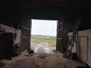 Здание кормоцеха, 542.6 кв. м, Республика Мордовия, назначение: нежилое, кадастровый номер 13:12:0124001:214, общая площадь 542,6 кв. м., этажей 1, год завершения строительства 1970, адрес: Российская Федерация, Республика Мордовия, м.р-н Ковылкинский, с.п. Примокшанское, п. Примокшанский, ул…