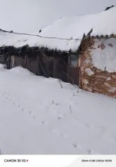 Жилой дом и земельные участки по адресу: Оренбургская область, Шарлыкский район, село Ратчино, улица Советская, дом 33. Площадь дома 36.2 кв. м. Площадь первого земельного участка 1154 кв. м, площадь второго земельного участка 1601 кв. м. Общая площадь земельных участков 2755 кв. м. Вид…