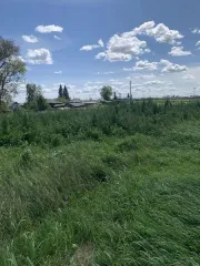 Земельный участок 3042 м², Курганская обл., Шатровский р-н, с. Камышевка, с кадастровым номером 45:21:040302:304, площадью 3042, по адресу Курганская обл, р-н Шатровский, с Камышевка, ул Советская, 2А. Основной вид разрешенного использования: 6.9.2001. Кадастровый номер земельного участка…