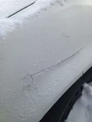 Toyota Sprinter Carib 1997 государственный регистрационный знак: Р321ОО22 Является залоговым имуществом.