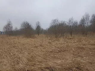 Продажа земельного участка, изъятого по суду, с адресным ориентиром: город Москва, вн.тер.г. поселение Щаповское, квартал 172, земельный участок 12 площадью 17 000 кв. м, кадастровый номер: 50:27:0020331:119 Продажа земельного участка, изъятого по суду, с адресным ориентиром: город Москва…