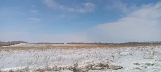 Земельный участок кадастровый номер 24:25:0401004:62 общей площадью 7200 м2 категории земель сельскохозяйственного назначения с разрешенным использованием для ведения личного подсобного хозяйства по адресу местоположение установлено относительно ориентира расположенного в границах участка ориентир…