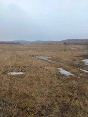 Земельный участок, 130001 кв.м, с/х назначения, Республика Хакасия, Бейский район Доля в земельном участке, площадь: 130001 кв.м, земли сельскохозяйственного назначения Земельный участок, площадь: 130001 кв.м, назначение: Земли сельскохозяйственного назначения, кадастровый (условный) номер…