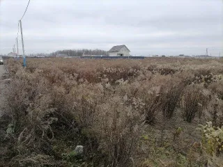 Земельный участок с кадастровым номером 50:29:0050107:1075, площадью 1026 +/- кв.м., по адресу: Московская область, р-н Воскресенский, категория земель: земли сельскохозяйственного назначения, вид разрешенного использования: для дачного строительства. ВНИМАНИЕ ВАЖНАЯ ИНФОРМАЦИЯ: Осмотр имущества…
