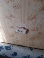 Помещение жилое Кадастровый номер: 60:27:0140202:174 Номер  этажа: Этаж № 3 Площадь: 24,6 кв.м Вид права: Общая долевая собственность, 2/3 Адрес: 180014, г. Псков, ул.Н.Васильева, д.83А, кв.29 Площадь при выделении доли	16,4 кв. м.