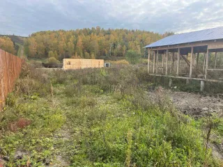 Земельный участок 934 кв.м, расположенный по адресу: Красноярский край, Березовский район, д. Кузнецово. Кадастровый номер 24:04:0501001:4678.