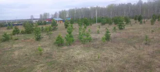 Земельный участок 1500 кв.м, Челябинская область, д. Григорьевка, Каслинский, ул Рябиновая, д. 4. Площадь - 1 500 кв.м., кадастровый номер - 74:09:0606002:382