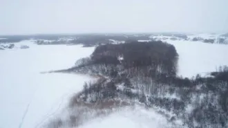 Земельный участок, 81004 кв.м, Псковская обл., р-н Великолукский, СП "Переслегинская волость", земельный массив между д. Русаново и оз. Кислое, кадастровый номер 60:02:0140103:29.