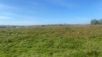 Аренда земельного участка из земель населённых пунктов площадью 1204 кв.м (кадастровый номер 38:06:100401:1104, адрес:  Российская Федерация, Иркутская область, Иркутский муниципальный район, Хомутовское сельское поселение, деревня Талька, переулок Байкальский, земельный участок 7). земельный…