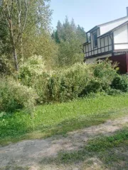 Земельный участок в Московской обл., 600 кв.м. Земельный участок Кадастровый номер: 50:25:0030419:135 Назначение объекта недвижимости: данные отсутствуют Виды разрешенного использования объекта недвижимости: Для ведения садоводства Местоположение: обл. Московская, р н Шатурский, Садоводческое…