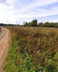 Земельный участок 4500 кв. м для ЛПХ, д. Старое Кубаево, Судогодский муниципальный округ. Земельный участок из земель населенных пунктов площадью 4500 кв. м для ведения личного подсобного хозяйства, расположенного в д. Старое Кубаево Судогодского муниципального округа. Основной вид разрешенного…