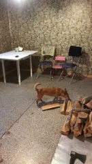 Жилой дом, Новгородская область, Шимский район, ст. Уторгош, ул Лесорубов, д. 12, кадастровый номер 53:21:0121604:241, расположенный на земельном участке по адресу: Новгородская обл, Шимский р-н, ж/д ст Уторгош, ул Лесорубов, д. 12, кадастровый номер 53:21:0121604:161.