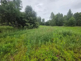 Земельный участок 1080 м², Раменский район МО. Кадастровый номер 50:03:0070380:1745, площадь 1080 м², основной вид разрешенного использования 2.1