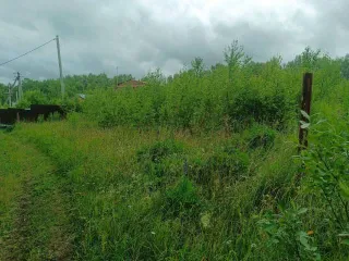 Земельный участок площадью 2100 кв.м, уточненная площадь, погрешность 160.0 кв.м. Назначение: земли населенных пунктов. Адрес: Россия, Нижегородская область, Городецкий район, деревня Косково (Ковригинский сельсовет). Кадастровый номер: 52:15:0060216:366. Находится в совместной собственности.