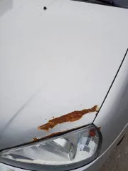 Lada Kalina 2013 года, VIN: XTA111930D0238245, госномер С557РН116. Находится в залоге.