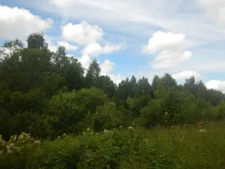 Земельный участок 1457 кв.м, ИЖС, Корчминская ул. 30, Санкт-Петербург. Продажа земельного участка для индивидуального жилищного строительства по адресу: Российская Федерация, Санкт-Петербург, внутригородское муниципальное образование Санкт-Петербурга поселок Понтонный, Корчминская улица, земельный…