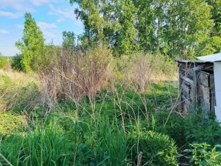 Жилое здание 49,9 кв.м и земельный участок 600 кв.м Новосибирская область Жилое здание, доля в праве: ½, кадастровый номер 54:03:011227:17, местоположение: Новосибирская область, р-н. Болотнинский, г. Болотное, ул. Островского, д. 59, площадь: 49,9 кв.м.; Земельный участок, кадастровый номер…