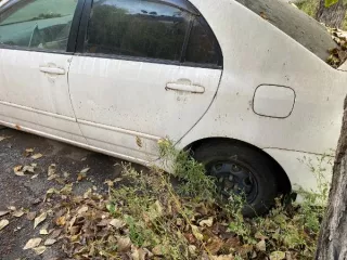 Автомобиль ТОЙОТА КОРОЛЛА Ключи, документы на автомобиль отсутствуют. Автомобиль имеет, по периметру кузова – царапины, сколы (выбоины), вмятины, очаги коррозии, потертости, отслоение и потускнение (потеря глянца) лакокрасочного покрытия.Проверка исправности имущества не проводилась…