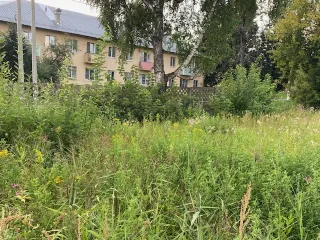Земельный участок 1500 м², Владимирская область, Петушинский район, г. Петушки, ул. Кирова. Кадастровый номер 33:13:010211:717, площадь 1 500 +/-13 м. кв. Местоположение установлено относительно ориентира, расположенного в границах участка. Почтовый адрес ориентира: Владимирская обл, район…