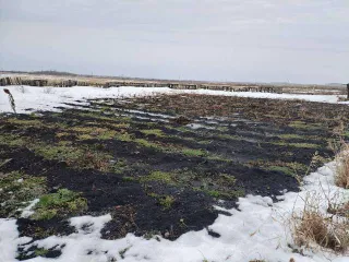 Земельный участок 1200 кв.м для ИЖС в Частоозерье, Частоозерский район, Курганская область. Категория земель: земли населенных пунктов, разрешенное использование: для индивидуального жилищного строительства. Адрес: Курганская область, р-н Частоозерский, с. Частоозерье, ул. В.Поротникова, 7Б…