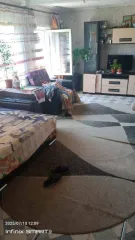 Продается 1/4 доля квартиры площадью 36 кв.м. и 1/4 доля земельного участка площадью 3550 кв.м. в Удмуртии. Объекты расположены по адресу: Удмуртская Республика, Воткинский район, д. Молчаны, ул. Широкая, д. 68, кв. 1. Кадастровый номер квартиры: 18:04:155004:155, земельного участка…