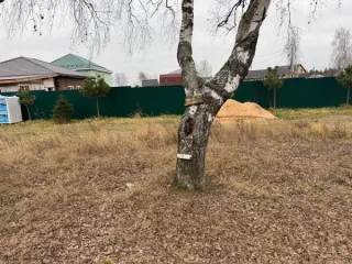 Земельный участок 551 кв.м, Московская область. Кадастровый номер 50:16:0603004:1251. Вид разрешённого использования 2.2.