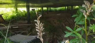 Земельный участок 1759 кв.м и жилой дом 53.1 кв.м во Владимирской области, Александровский район, МО Каринское с/п, ДПК "Зеленцино", участок № 38. Кадастровый номер участка: 33:01:001439:125, уточненная погрешность 29.0. Кадастровый номер дома: 33:01:001439:419.