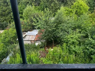 Земельный участок 490 кв. м и строение 16 кв. м в Удмуртской Республике. Категория земель: земли сельскохозяйственного назначения, разрешенное использование: для ведения гражданами садоводства и огородничества, для садоводства. Общая площадь участка 490 кв. м, адрес: Удмуртская Республика…